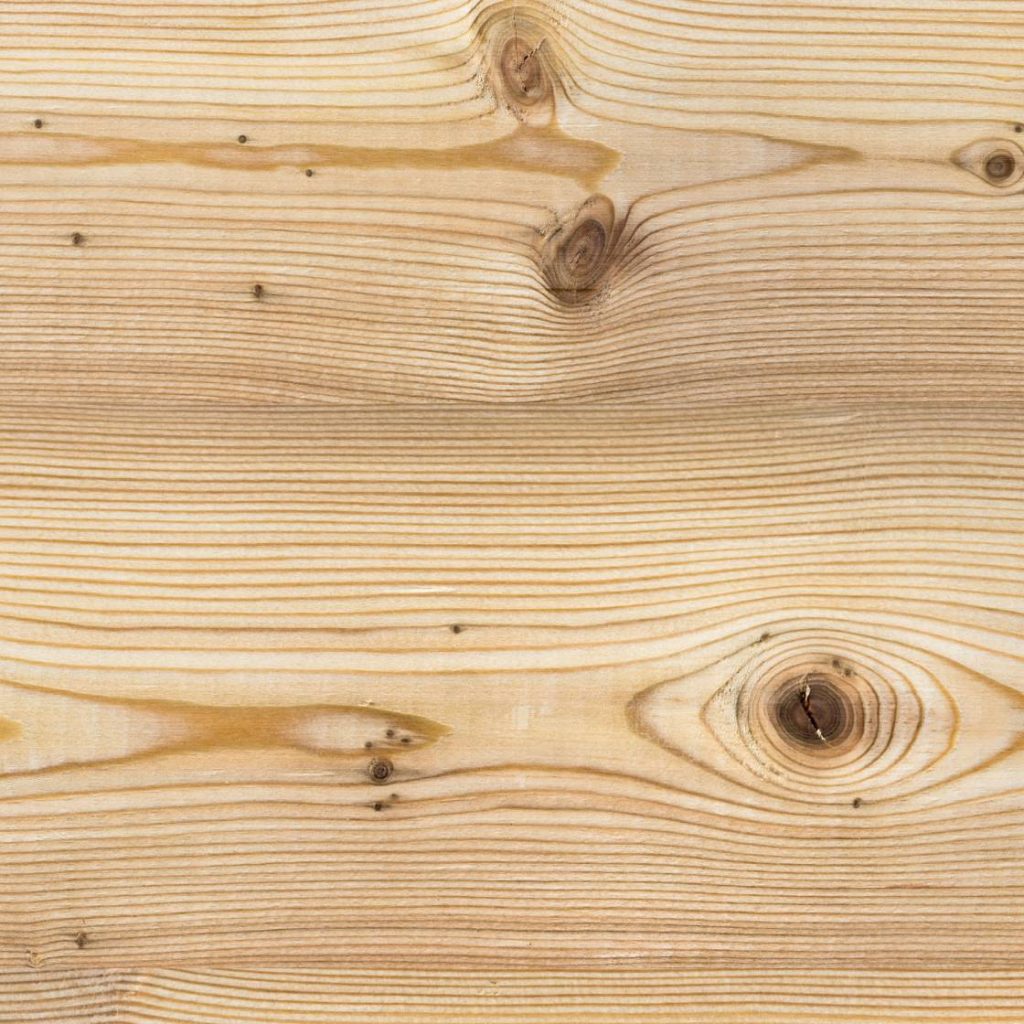 Lärche Holz Struktur